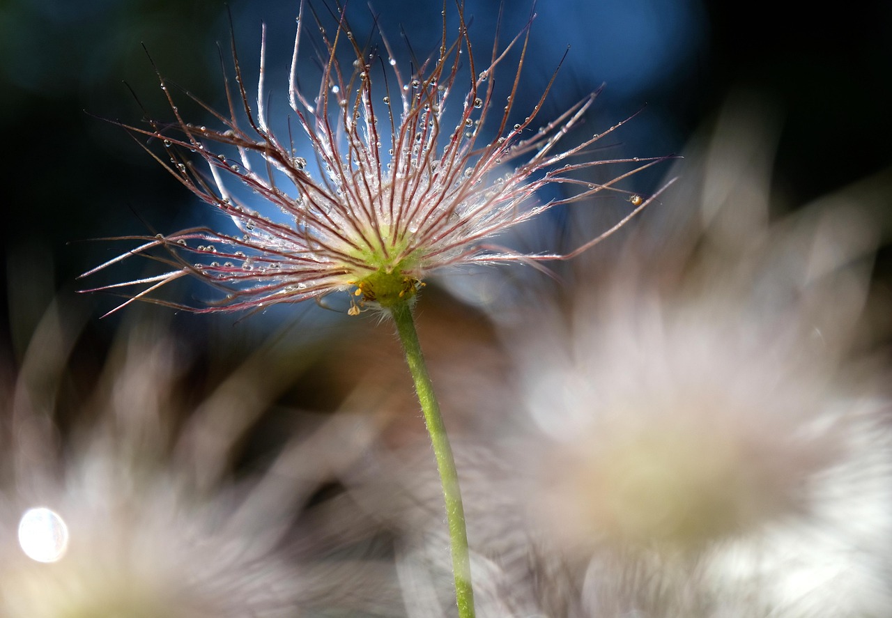 How to Start a Seedling Indoors